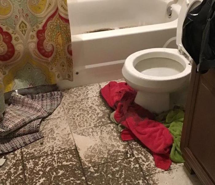 Sewage damage in bathroom