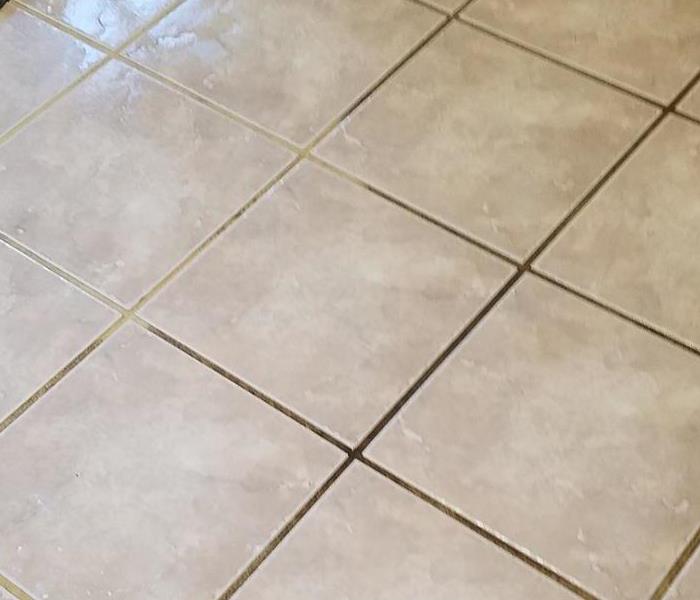 Tiles with mold damage