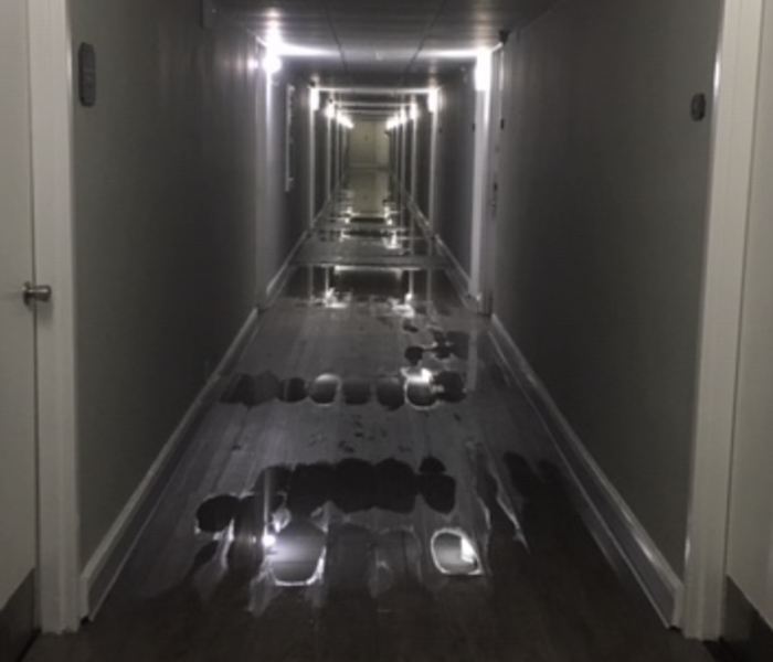 Water damage in hallway