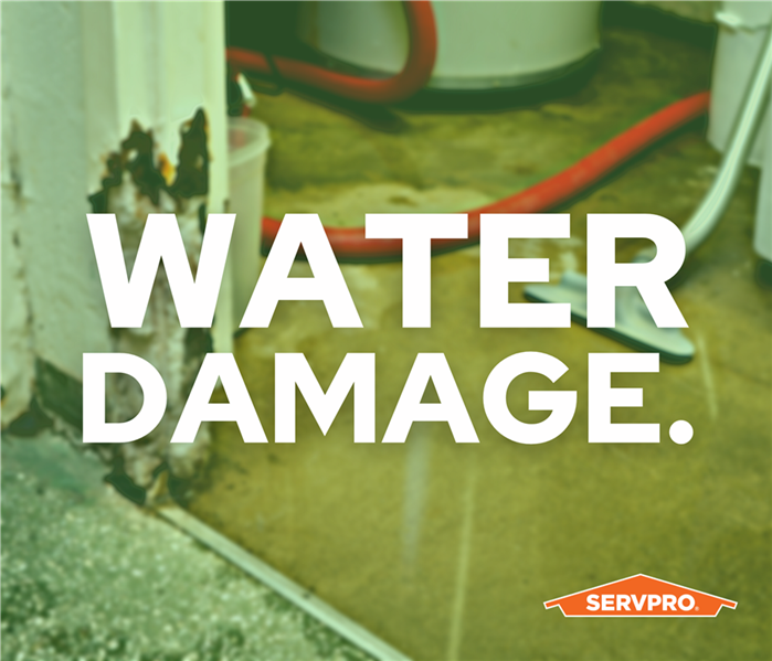 water damage on cement, the words "water damage" in Red Hat font overlayed over the image with a green tint